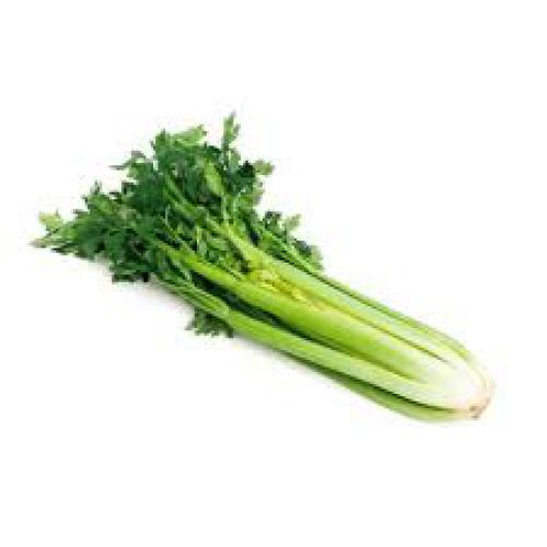 Celer listový Jemný
